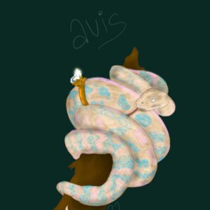 Postkarte "Avis a transgender snake"