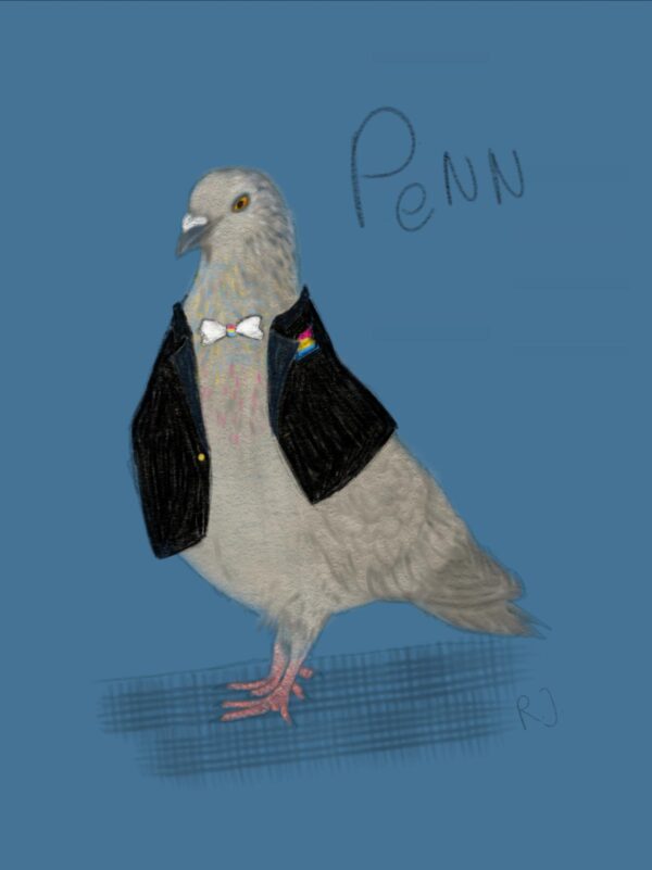 Postkarte "Penn a pansexual pigeon"